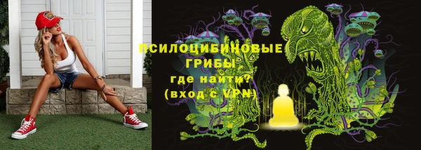 гидропоника Абаза