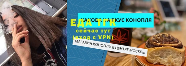 СК Новозыбков